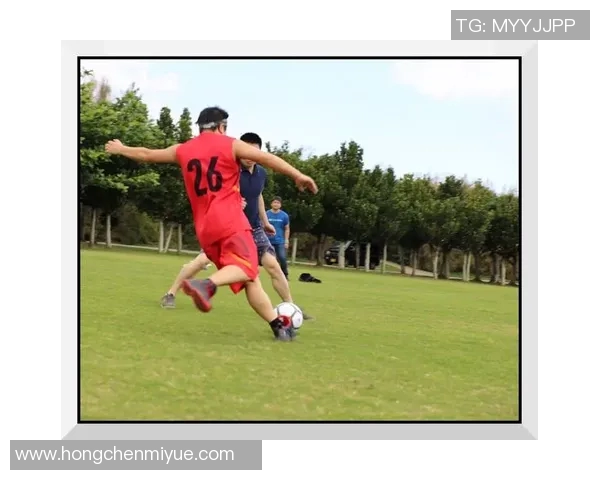 刘星足球明星的成长历程与精彩瞬间全景展示