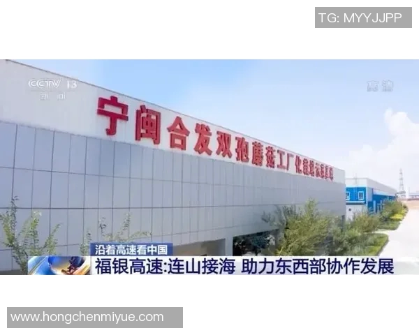 北京排球队的速度分析与战术应用探讨助力球队提升竞技水平