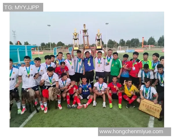 哈密足球明星阵容全解析及其职业生涯亮点详解