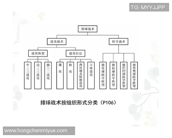 广州排球队总决赛表现分析：意识与战术的深度探讨与反思
